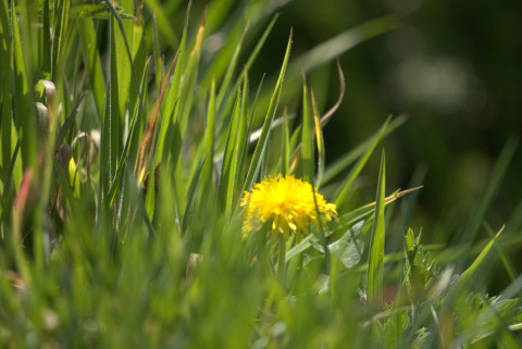 Rand en landbeheer